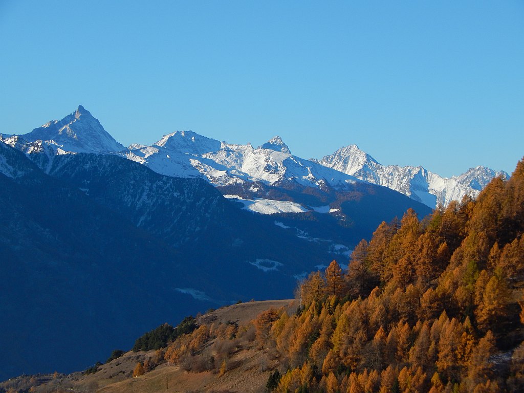 lignan valle d'Aosta